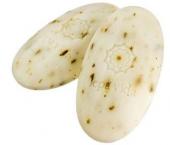 Seife - mit Olivenbaumblättern 100g